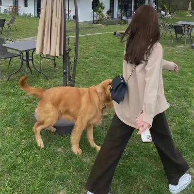 爱情卷土重来
